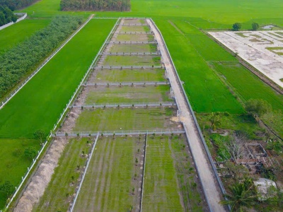 Đất vườn 1000m2 sẵn thổ cư 100m2 tại Gò Dầu, Tây Ninh 1