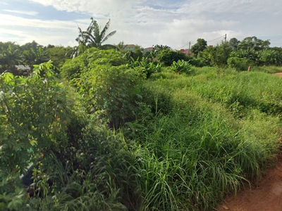 Đất mặt tiền shr hxh 1194m2 đông thạnh 2-5 hóc môn 0