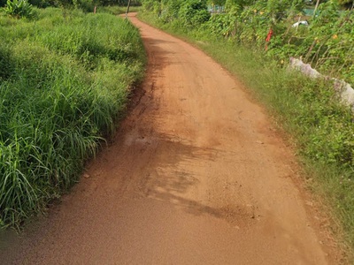 Đất mặt tiền shr hxh 1194m2 đông thạnh 2-5 hóc môn 2