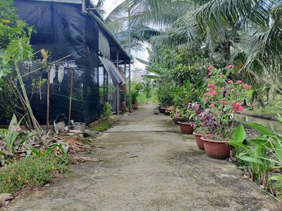 Đất nền vuông vức 285m2 tại phú tân, tp bến tre giá rẻ bất ngờ 0