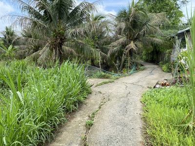 Đất nền vuông vức 285m2 tại phú tân, tp bến tre giá rẻ bất ngờ 1