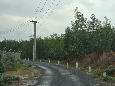 Chính chủ bán đất mặt tiền đẹp gần cao tốc dầu giây - phan thiết 1