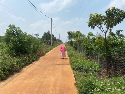 Nhanh tay sở hữu lô đất giá tốt nhất khu vực biển hồ   pleiku 1