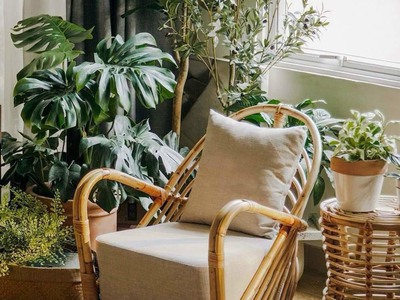 Ghế mây armchair 2