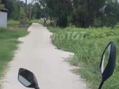 Bán lô đất trồng cây lâu năm  lên được thổ cư  Nhị Bình Hóc Môn 0