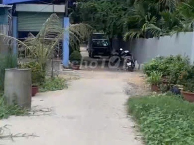 Bán lô đất trồng cây lâu năm  lên được thổ cư  Nhị Bình Hóc Môn 1