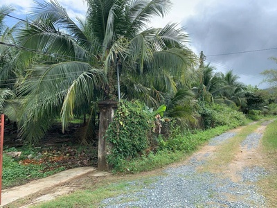 Đất đẹp cực kỳ tiềm năng - bên kcn diên thọ, khánh hòa - giá cực tốt cho khu công nghiệp 0