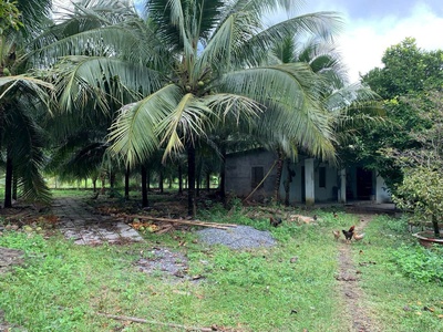 Đất đẹp cực kỳ tiềm năng - bên kcn diên thọ, khánh hòa - giá cực tốt cho khu công nghiệp 1