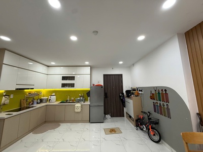 Cho thuê căn hộ 55m2 LAVIDA PLUS Q7 0