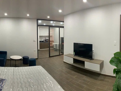 Cho thuê căn hộ 1PN có ngăn bếp giá 7tr tại KĐT Waterfront 2