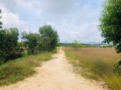 Bán 1000m2 đất gần biển tân bình, lagi có 400m2 thổ cư giá rẻ 4