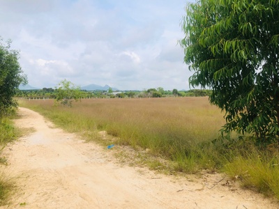 Bán 1000m2 đất gần biển tân bình, lagi có 400m2 thổ cư giá rẻ 0