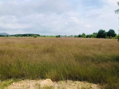 Bán 1000m2 đất gần biển tân bình, lagi có 400m2 thổ cư giá rẻ 1