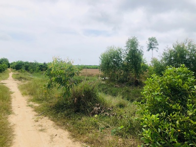 Bán 1000m2 đất gần biển tân bình, lagi có 400m2 thổ cư giá rẻ 3