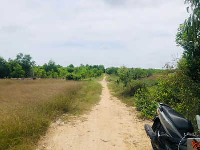 Bán 1000m2 đất gần biển tân bình, lagi có 400m2 thổ cư giá rẻ 2