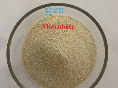 Enzyme Microbate, enzyme Microzyme, cắt tảo, xứ lý nước ao nuôi 2