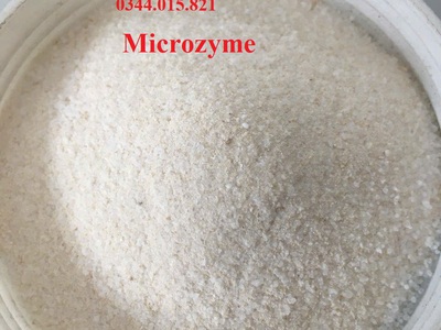 Enzyme Microbate, enzyme Microzyme, cắt tảo, xứ lý nước ao nuôi 3