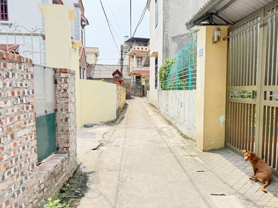 Cần bán 50m2 đất thổ cư cách 15m ra đường Giáp Hải 379 Ecopark . Cách cầu Thanh Trì 100m 4