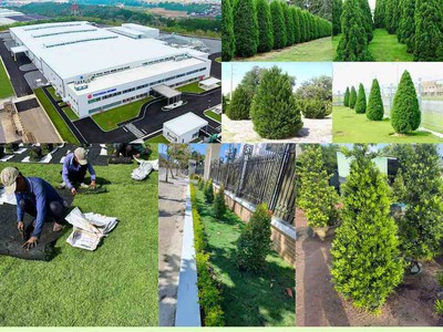 Thiết kế thi công thảm cỏ cây xanh KCN Bình Dương Miễn Phí khảo sát thiết kế 0