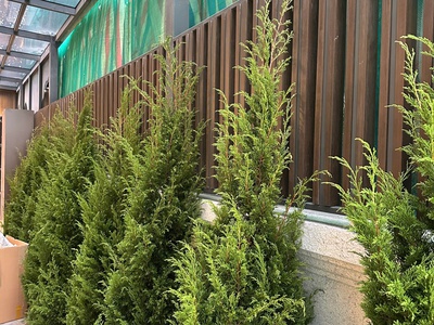 Hàng rào sử dụng bản lam hộp 50 25mm 2