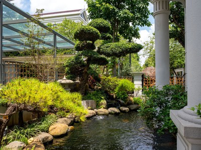 Thiết kế sân vườn nhỏ sau nhà   Không gian xanh tiện nghi và tinh tế 1