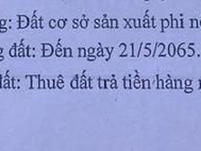 Bán đất sản xuất TÂN PHƯỚC, ĐỒNG PHÚ, BP 16.954m 1