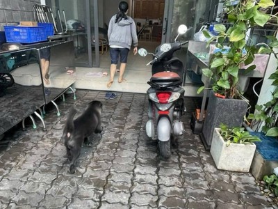 154m - chỉ 22.9 tỷ‼mặt tiền nguyễn văn đậu-bình thạnh -phong cách xây dựng hiện đại - 2 tầng 0