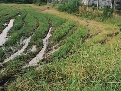 Chủ cần bán lô đất đẹp  - vị trí đắc địa tại : mỹ thạnh đông - đức huệ - long an  cũ 3