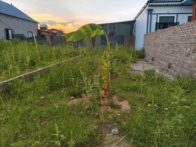 Bán đất chính chủ 100m2, mt5m, 2.5 tỷ, thanh trí, sóc sơn, gần nhiều tiện ích, ô tô 7 chỗ. 1