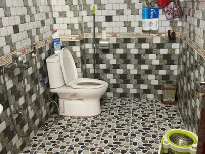 Chính chủ cho thuê nhà vườn 3 tầng tại thôn phú an, xã cao an, cẩm giàng, hải dương 0