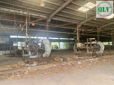  Cho thuê đất   nhà xưởng tổng diện tích 62.157 m  Hưng Hòa Bến Cát Bình Dương  2