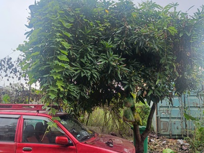 Sở hữu ngay lô đất đẹp - giá tốt - vị trí đắc địa tại khu tái định cư thôn tân nam, xã mỹ đức, 2