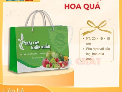 Báo giá chi tiết in túi giấy đựng hoa quả 1