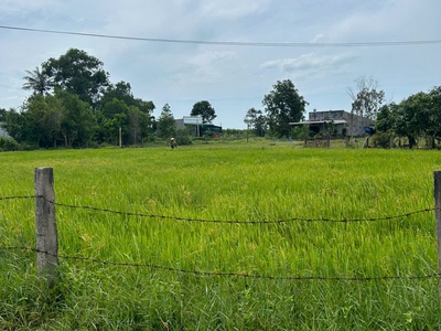 Bán đất ont 9.5m x 26m hẻm lý thái tổ - tân hải - lagi giá ngộp 900 triệu 1