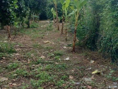 Chính chủ cần bán đất xã thanh bình huyện hớn quản, bình phước 0