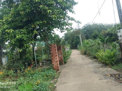 Chính chủ cần bán đất xã thanh bình huyện hớn quản, bình phước 1