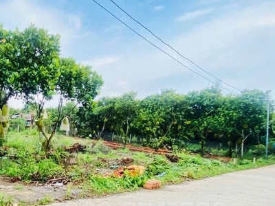 Bán Đất Thổ Cư Ngay Đường Hàm Nghi, P Bảo Vinh, Đồng Nai, Giá Chỉ 870tr 1