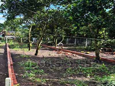 Bán Đất Thổ Cư Ngay Đường Hàm Nghi, P Bảo Vinh, Đồng Nai, Giá Chỉ 870tr 2