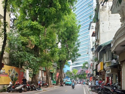 Mặt Phố Phó Đức Chính 48M2 Mặt Tiền 4,56M 26.9 Tỷ 2 Mặt Phố trước sau 0