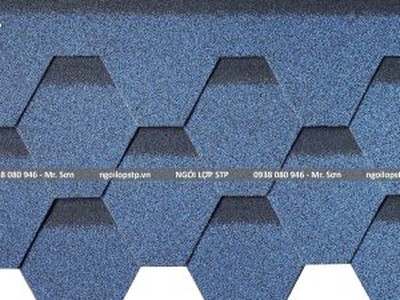 Lợp Ngói Bitum Bước Tiến Mới Cho Mái Nhà Chống Thấm Và Thẩm Mỹ 0