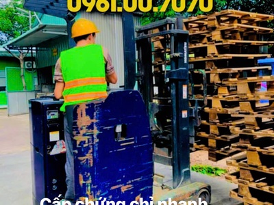 Học lái xe nâng giá rẻ khu công nghiệp Đại Đăng, Thủ Dầu Một, Bình Dương 0