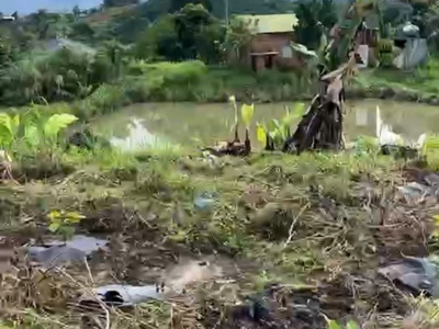 Sở hữu ngay lô đất đẹp - giá tốt  tại  xã krông nô, huyện lắk. tỉnh đắk lắk 0