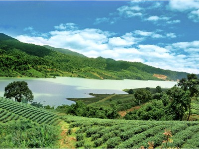 Cần bán gấp 2 lô đất ngộp bank tại khu sun valley farm bảo lộc 3