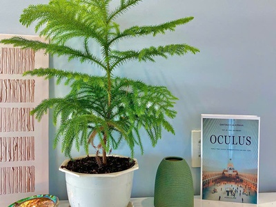    - hàng hiếm ‼ bán căn góc 2 phòng ngủ với view sân vườn tại tp biển nha 3