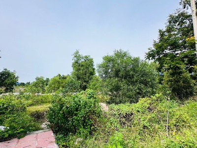 Bán đất odt mặt tiền lê minh công - phước lộc - lagi giảm 40 chỉ 1.7 tỷ 4