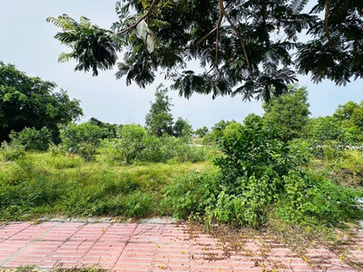 Bán đất odt mặt tiền lê minh công - phước lộc - lagi giảm 40 chỉ 1.7 tỷ 3