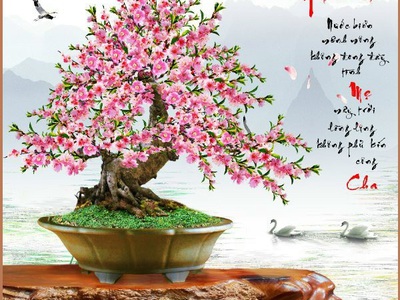 Tranh gạch men hoa anh đào HP0283 8