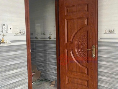 Cửa thép vân gỗ 1 cánh 2