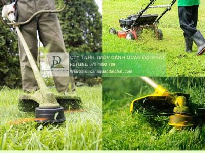 Bảo Dưỡng Cảnh Quan Khu Công nghiệp Chuyên Nghiệp Đạt Chuẩn FDI/ESG tại Đồng Nai, Bình Dương, TPHCM 0