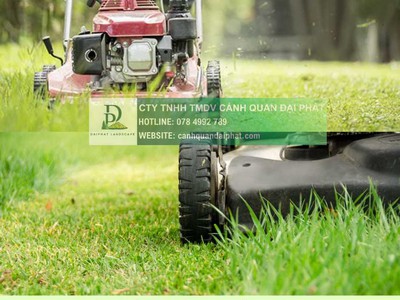 Bảo Dưỡng Cảnh Quan Khu Công nghiệp Chuyên Nghiệp Đạt Chuẩn FDI/ESG tại Đồng Nai, Bình Dương, TPHCM 1